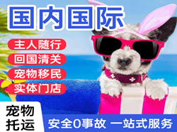荆州沙市机场快递国际宠物托运 【国